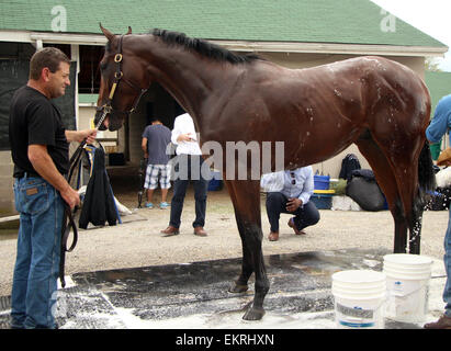 Louisville, Kentucky, USA. 13 avr, 2015. 13 avril 2015, Pharoah américain arrive à Churchill Downs de l'Arkansas avec les autres Bob Baffert les chevaux. Il est le gagnant de l'année 2015, l'Arkansas Derby et un possible favori pour le Derby du Kentucky. Zayat propriétaire d'équitation Crédit : Mary M. Meek/ESW/CSM/Alamy Live News Banque D'Images