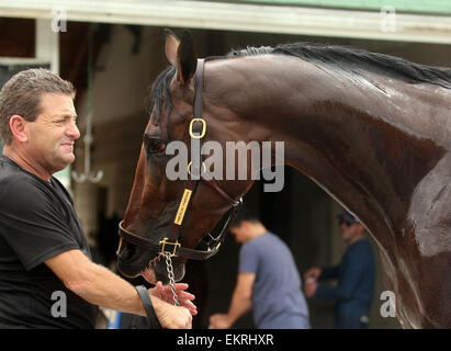 Louisville, Kentucky, USA. 13 avr, 2015. 13 avril 2015, Pharoah américain arrive à Churchill Downs de l'Arkansas avec les autres Bob Baffert les chevaux. Il est le gagnant de l'année 2015, l'Arkansas Derby et un possible favori pour le Derby du Kentucky. Zayat propriétaire d'équitation Crédit : Mary M. Meek/ESW/CSM/Alamy Live News Banque D'Images