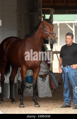 Louisville, Kentucky, USA. 13 avr, 2015. 13 avril 2015, Pharoah américain arrive à Churchill Downs de l'Arkansas avec les autres Bob Baffert les chevaux. Il est le gagnant de l'année 2015, l'Arkansas Derby et un possible favori pour le Derby du Kentucky. Zayat propriétaire d'équitation Crédit : Mary M. Meek/ESW/CSM/Alamy Live News Banque D'Images