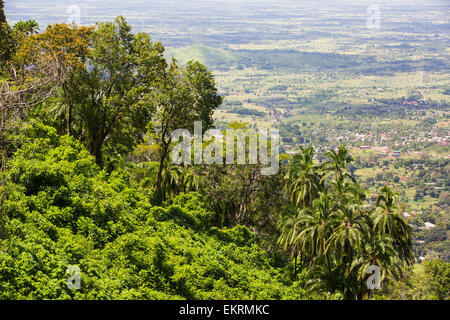 À la recherche vers le bas sur le plateau de Zomba Zomba au Malawi, en Afrique. Banque D'Images