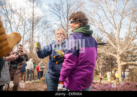 Un bénévole, Centre, Nord-est de la société Heather explique aux visiteurs pourquoi ils les plantes de cisaillement à la 3-acre Heather Garden dans Fort Tryon Park à New York le Samedi, Avril 11, 2015 au cours de la 15e édition annuelle de la rupture de la bruyère. Le jardin est l'un des plus grands jardins de bruyère le nord-est construit en 1935, dans un terrain donné pour le parc par John D. Rockefeller Jr. La tonte annuelle coïncide avec la venue du printemps et de soins et les plantes en leur permettant de sortir plus de pousses de fleurs. Il y a 40 variétés différentes de Heath et Heather plantés et les bénévoles viennent en ce qui concerne un Banque D'Images