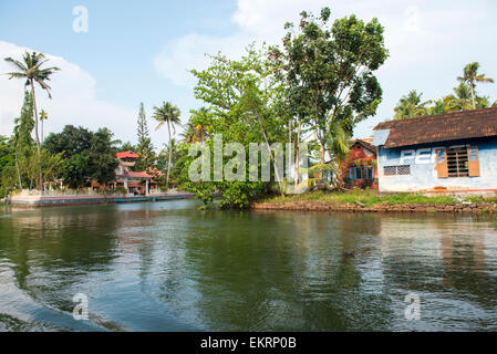 Les eaux troubles de Kumarakom, Kerala Inde Banque D'Images