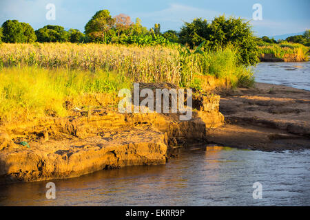 Les dégâts sur une rive du fleuve à Mangochi, Malawi, Afrique. Banque D'Images