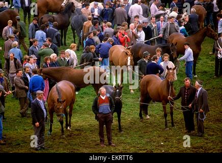 Foire du cheval, traditionnelle, Co Galway Ballinasloe Banque D'Images