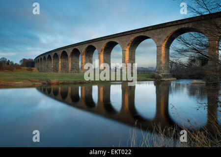 Dans le cadre de ciel bleu, des arches de pont ferroviaire Viaduc Arthington se reflètent dans les eaux calmes de la rivière Wharfe - West Yorkshire, Angleterre, Royaume-Uni. Banque D'Images