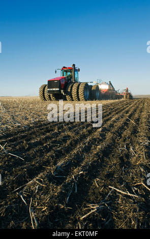 Déplacer le tracteur et l'air jusqu'à la plantation Semoir Grain dans le chaume de canola, près de Dugald (Manitoba), Canada Banque D'Images