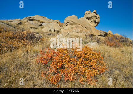 Dans les badlands de Killdeer automne de l'Édifice de l'est dans le parc national des Prairies ; Saskatchewan, Canada Banque D'Images