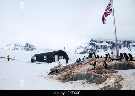 Port Lockroy, site historique du Traité de l'Antarctique no 61, Base britannique A. La base a été utilisée pour la recherche jusqu'en 1962, y compris les fi Banque D'Images