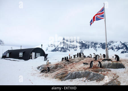 Port Lockroy, site historique du Traité de l'Antarctique no 61, Base britannique A. La base a été utilisée pour la recherche jusqu'en 1962, y compris les fi Banque D'Images