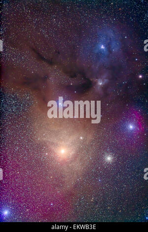 La région de couleur jaune autour d'Antares (bas) dans le Scorpion et blue Rho Ophiuchi (top) dans Ophiuchus. Les nébuleuses sont en grande partie Banque D'Images