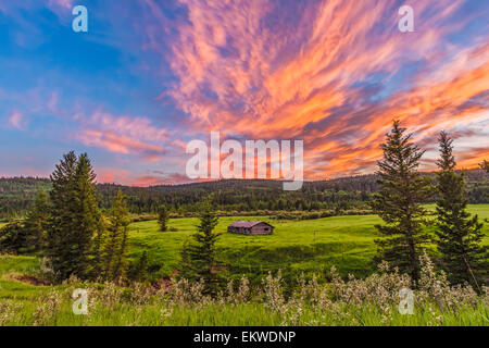 9 juillet 2014 - une dynamique élevée photo d'un coucher de soleil sur une cabane dans le parc interprovincial Cypress Hills, sur la Saskatchewa Banque D'Images