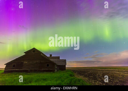 Les 7 et 8 juin 2014 - Un sky avec aurora rideaux vert et violet dans le sud de l'Alberta, Canada. Cassiopée est visible à la ri Banque D'Images