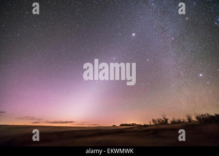 7 octobre 2013 - La lumière zodiacale dans le ciel avant l'aube dans l'Alberta, Canada. Leo se levant à peine à gauche du centre, avec au-dessus de Mars Banque D'Images