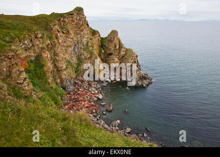 Alaska,Bristol Bay,Morse Banque D'Images