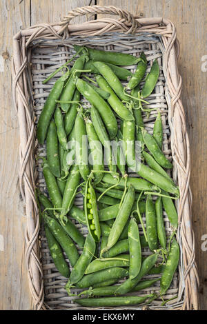 Pois verts frais pod et les pois dans un panier Banque D'Images