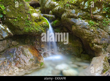 Belle cascade en forêt verte Banque D'Images
