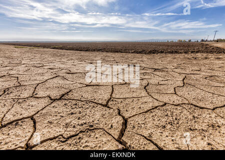 La terre sèche et craquelée à côté du champ de culture de jachère. Le comté de Fresno, San Joachin Valley, California, USA Banque D'Images