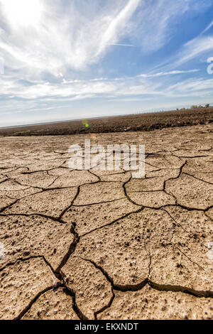 La terre sèche et craquelée à côté du champ de culture de jachère. Le comté de Fresno, San Joaquin Valley, Californie, USA Banque D'Images