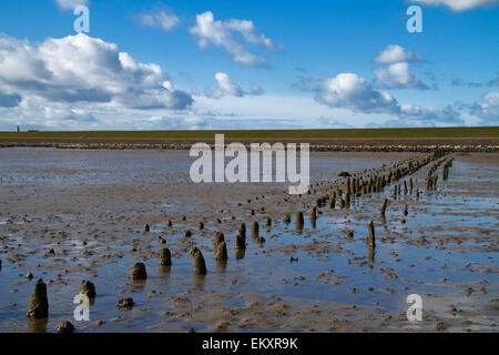 Poteaux en bois sur une vasière ou platin dans la mer des Wadden néerlandaise Banque D'Images