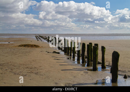 Poteaux en bois sur une vasière ou platin dans la mer des Wadden néerlandaise Banque D'Images