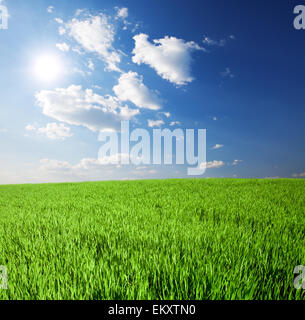 Champ vert et bleu ciel nuageux avec Sun Banque D'Images