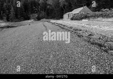 Un petit cottage en bardeaux donne sur une plage de galets à marée basse sur Mount Desert Island, dans le Maine. Banque D'Images