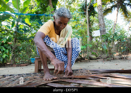 Une vieille femme indienne tisse un mat dans le cadre d'une authentique expérience de village pour les touristes à Kumarakom, Kerala, Inde Banque D'Images