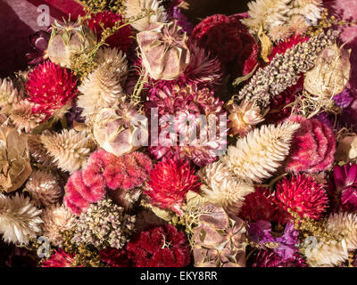 Bouquet de fleurs séchées Banque D'Images