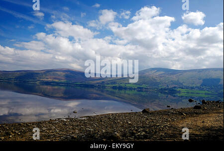 Blessington lakes Co. Wicklow, Irlande Banque D'Images