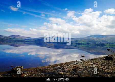 Blessington lakes Co. Wicklow, Irlande Banque D'Images