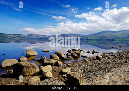 Blessington lakes Co. Wicklow, Irlande Banque D'Images