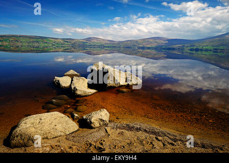 Blessington lakes Co. Wicklow, Irlande Banque D'Images