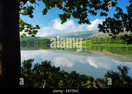 La scène du lac près d'Omeath Co. Louth Irlande Banque D'Images