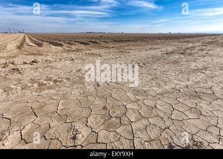 La terre sèche et craquelée à côté du champ de culture de jachère. Le comté de Fresno, San Joaquin Valley, Californie, USA Banque D'Images