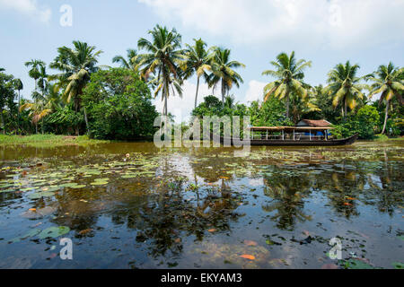 L'eau dormante à Kumarakom, Kerala Inde Banque D'Images