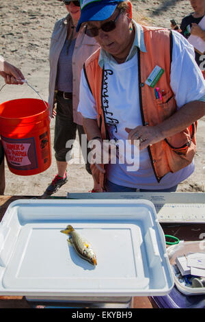 Les enfants et ceux qui désirent apprendre à pêcher à la première assemblée annuelle Off tha' Hook fly fishing event, Los Angeles River Banque D'Images