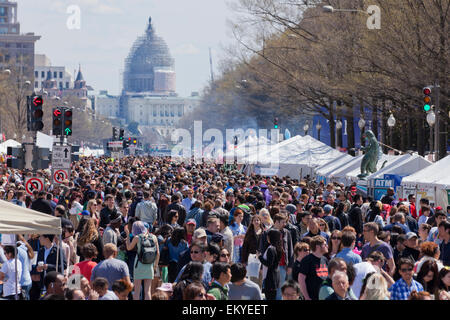 La foule au festival des cerisiers en fleur (Sakura Matsuri) - Washington, DC USA Banque D'Images