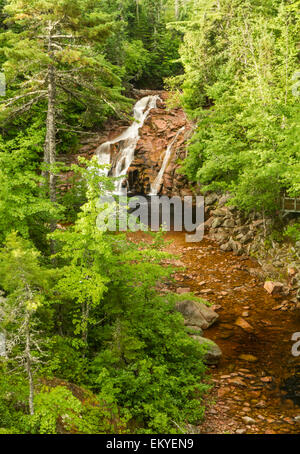 Mary Ann Falls Brook et serpente à travers la forêt vu d'oublier dans le parc national des Hautes-Terres du Cap-Breton, Nouvelle-Écosse Banque D'Images