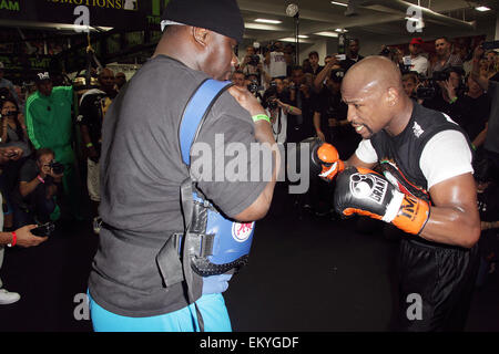 Las Vegas, Nevada, USA. 14 avr, 2015. World Super super-légers de boxe Floyd Mayweather jr tient des exercices pour son prochain combat avec Manny Pacquioa à Mayweather Boxing Club le 14 avril 2015 à Las Vegas, Nevada. Crédit : Marcel Thomas/ZUMA/Alamy Fil Live News Banque D'Images