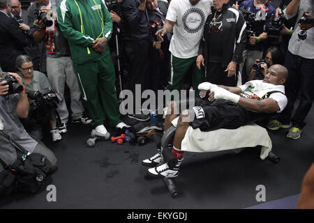 Las Vegas, Nevada, USA. 14 avr, 2015. World Super super-légers de boxe Floyd Mayweather jr tient des exercices pour son prochain combat avec Manny Pacquioa à Mayweather Boxing Club le 14 avril 2015 à Las Vegas, Nevada. Crédit : Marcel Thomas/ZUMA/Alamy Fil Live News Banque D'Images
