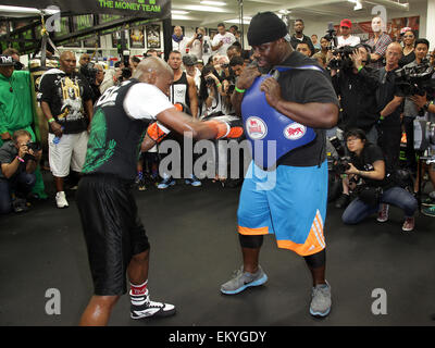 Las Vegas, Nevada, USA. 14 avr, 2015. World Super super-légers de boxe Floyd Mayweather jr tient des exercices pour son prochain combat avec Manny Pacquioa à Mayweather Boxing Club le 14 avril 2015 à Las Vegas, Nevada. Crédit : Marcel Thomas/ZUMA/Alamy Fil Live News Banque D'Images