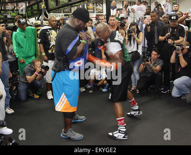 Las Vegas, Nevada, USA. 14 avr, 2015. World Super super-légers de boxe Floyd Mayweather jr tient des exercices pour son prochain combat avec Manny Pacquioa à Mayweather Boxing Club le 14 avril 2015 à Las Vegas, Nevada. Crédit : Marcel Thomas/ZUMA/Alamy Fil Live News Banque D'Images