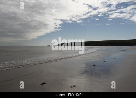 Plage à lunan bay angus ecosse avril 2015 Banque D'Images