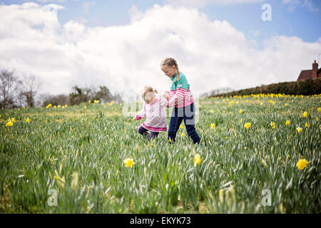 Domaine, jonquille, enfants, filles, sœurs, sœurs, ciel, la marche, le printemps Banque D'Images