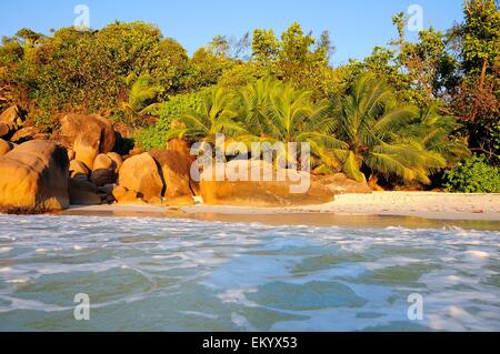 Plage dans la lumière du soir, Anse Lazio, Praslin, Seychelles Banque D'Images