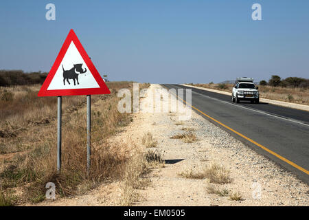 Road sign warning de phacochères, route B1, près de la Namibie, Tsumen Banque D'Images