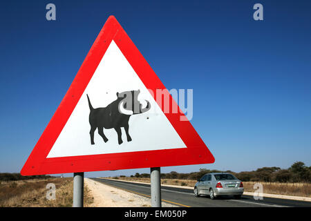 Road sign warning de phacochères, route B1 dans Tsumen, Namibie Banque D'Images