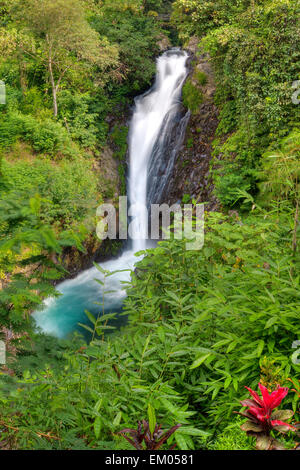 Cascades de Gitgit Banque D'Images