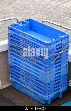 Caisses en plastique bleu pour entreposer le poisson sur le bateau chalutier amarré à Looe, Cornwall, Angleterre Banque D'Images