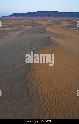 Domaine des portes du désert du Sahara, Zagora, Maroc scène Banque D'Images